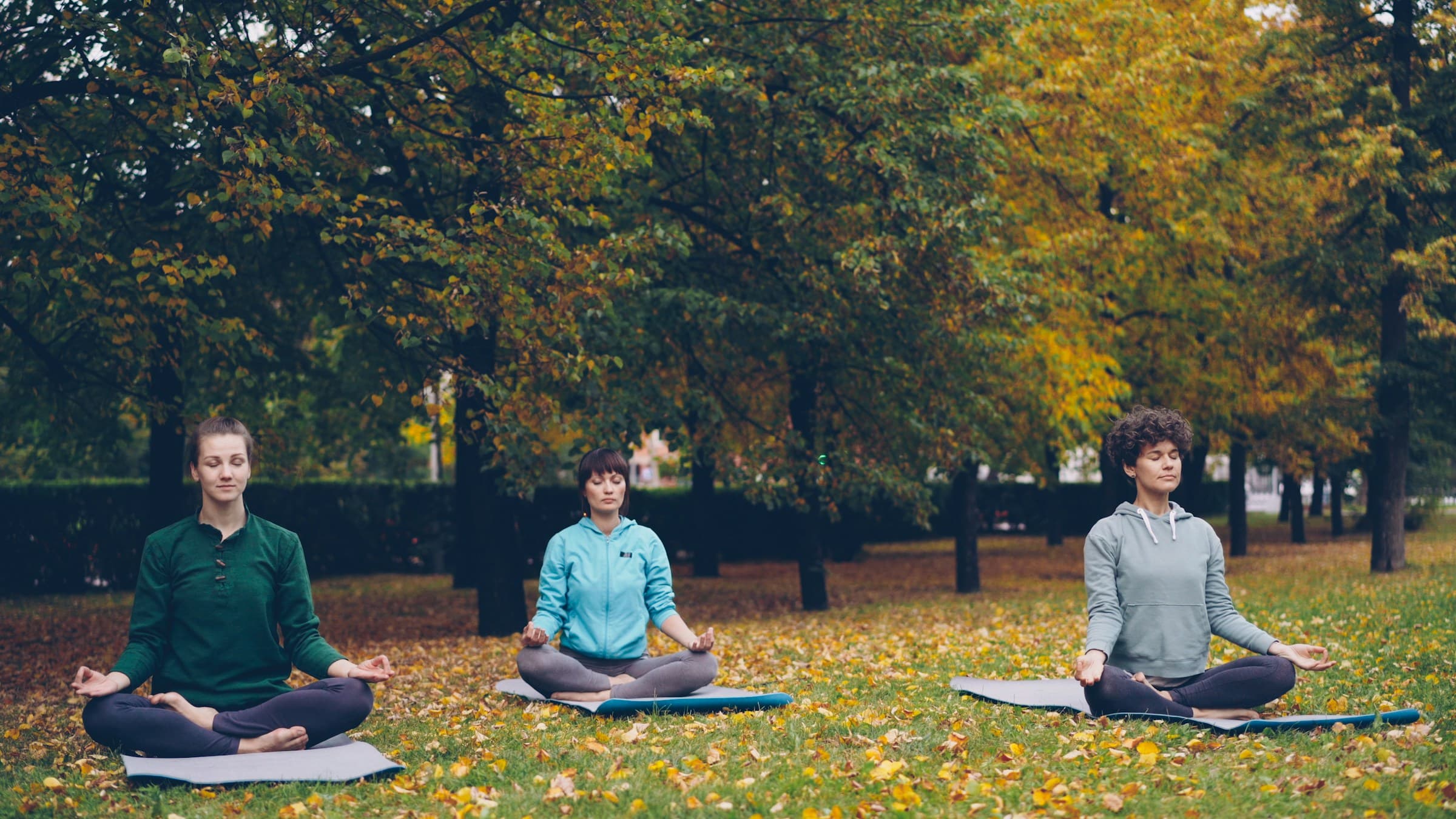 People meditating outdoors in a peaceful park