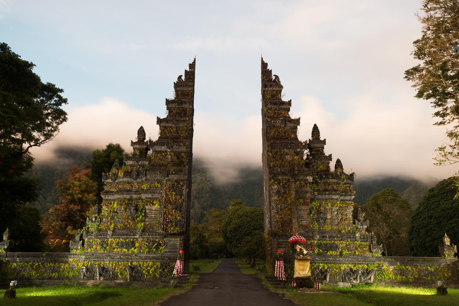 Top 10 Yoga Retreats in Bali for 2024