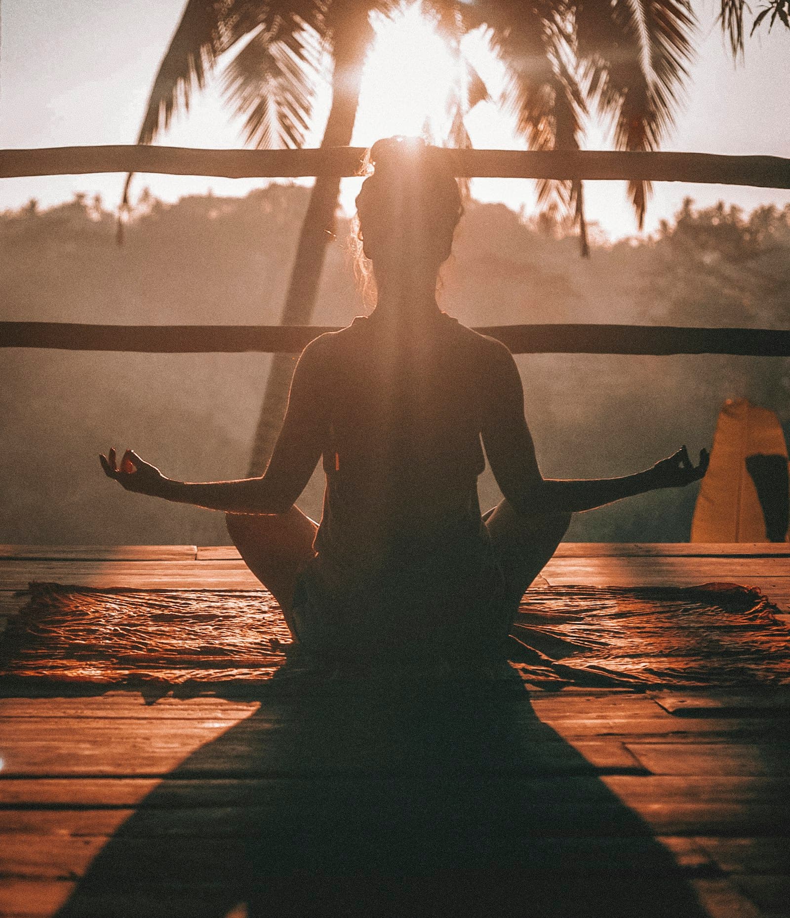 Silent Waters: 7-Day Meditation Retreat in Fort Kochi